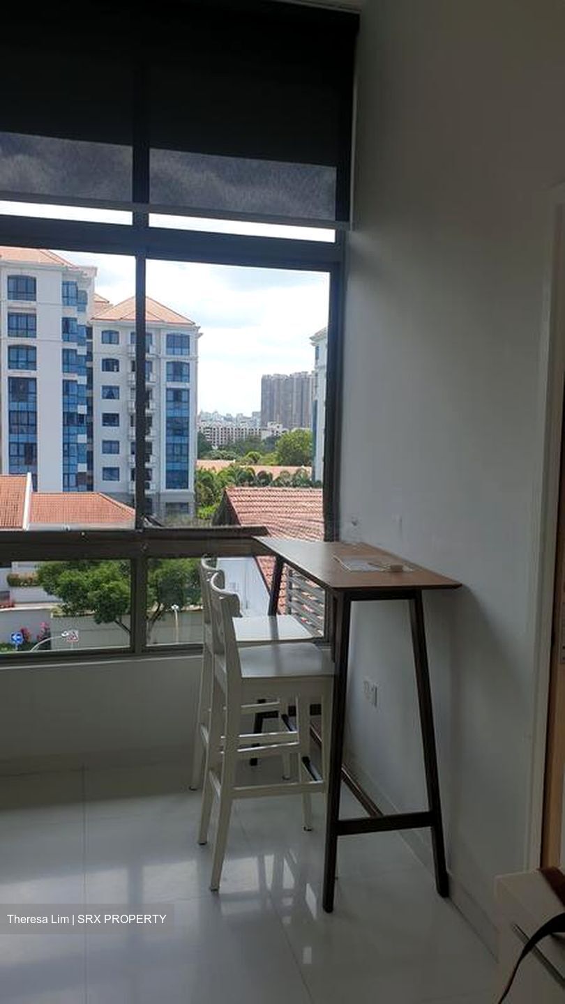 Loft @ Holland (D10), Apartment #505091951